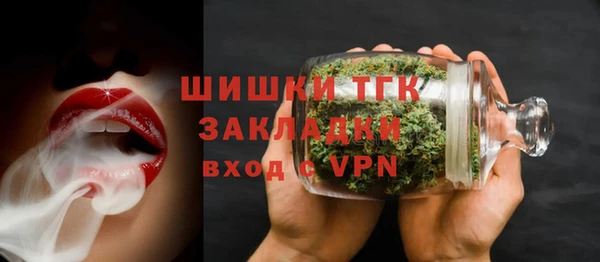 гидра Алексеевка