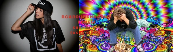 скорость Алзамай